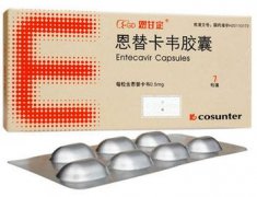 恩甘定恩替卡韦胶囊毒理研究