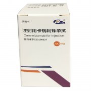 艾瑞卡